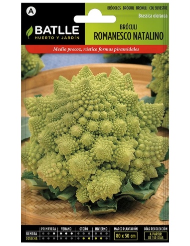 Bróculi Romanesco Natalino (Sobre)