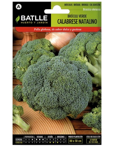 Bróculi Verde Calabrese (Sobre)