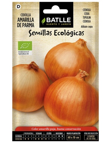 Cebolla Amarilla de Parma - Eco