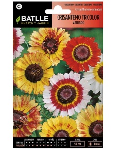 Crisantemo Tricolor (Sobre) 