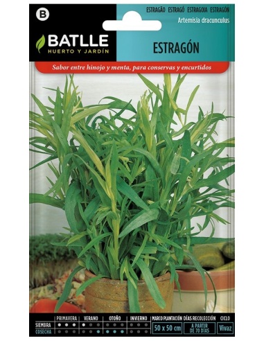 Estragón - Artemisia Dracunculus (Sobre)
