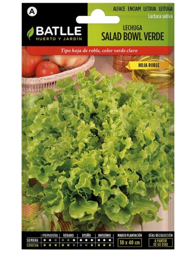 Lechuga Salad Bowl Verde (Sobre)