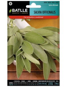 Salvia Oficinalis (Sobre) 